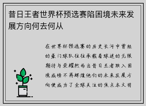 昔日王者世界杯预选赛陷困境未来发展方向何去何从